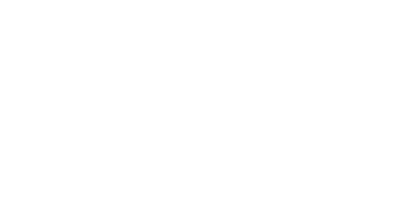 ademir